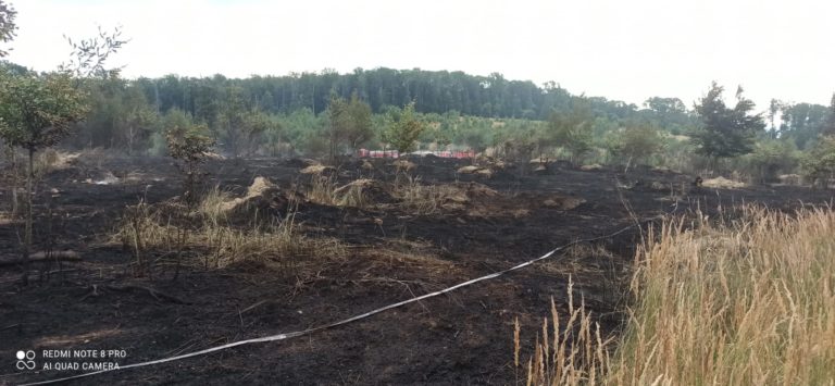 lesný požiar, Svätý Jur