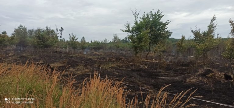 lesný požiar, Svätý Jur