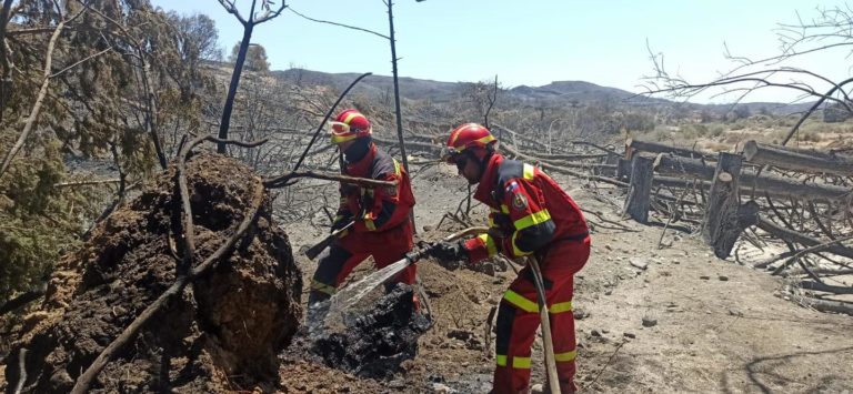 Požiare v Grécku, slovenskí hasiči