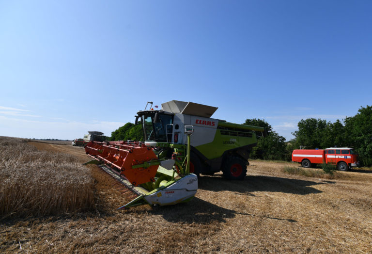 žatva, pšenica, kombajn, pole