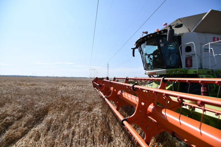 žatva, pšenica, kombajn, pole