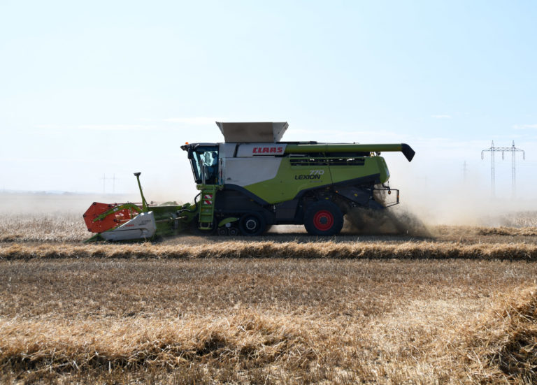 žatva, pšenica, kombajn, pole