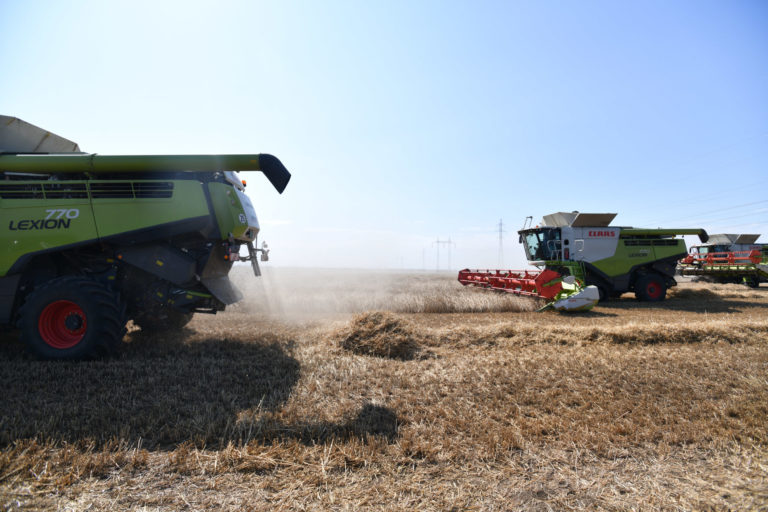 žatva, pšenica, kombajn, pole