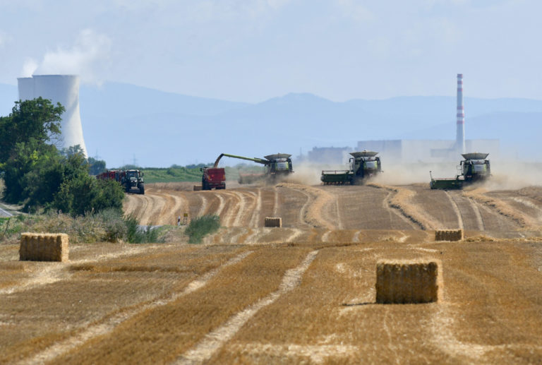 žatva, pšenica, kombajn, pole