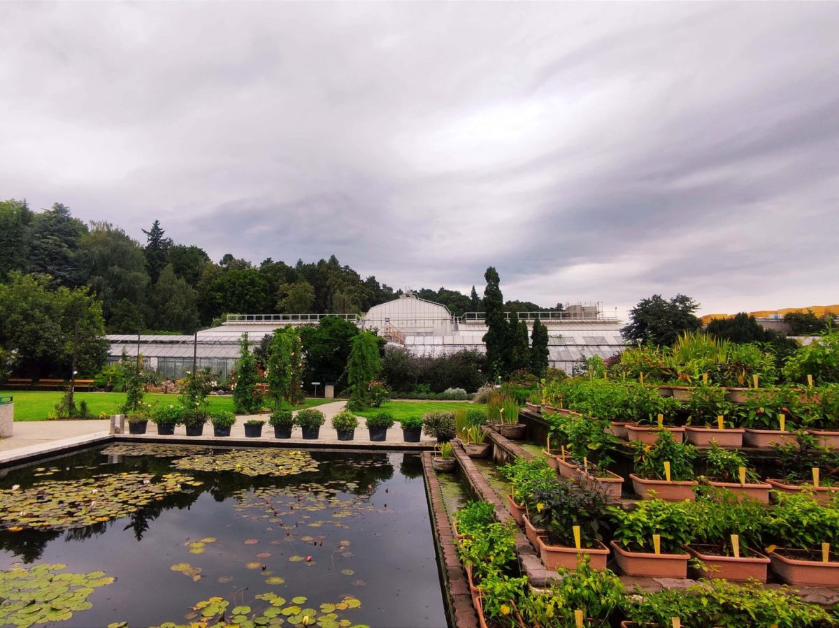Botanická záhrada, Košice