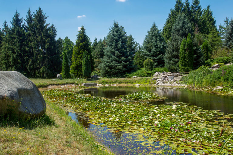 Arborétum Mlyňany