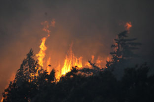 lesný požiar, Portugalsko