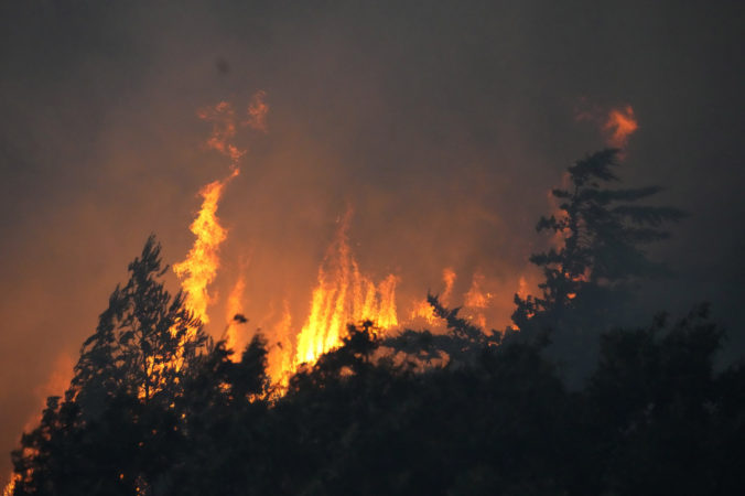 lesný požiar, Portugalsko