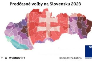 Predčasné voľby 2023 na Slovensku, SDKÚ DS