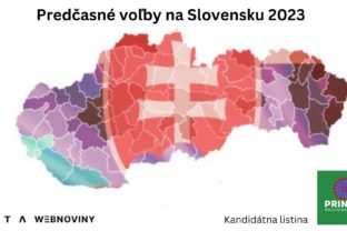 Predčasné voľby 2023 na Slovensku, strana Princíp