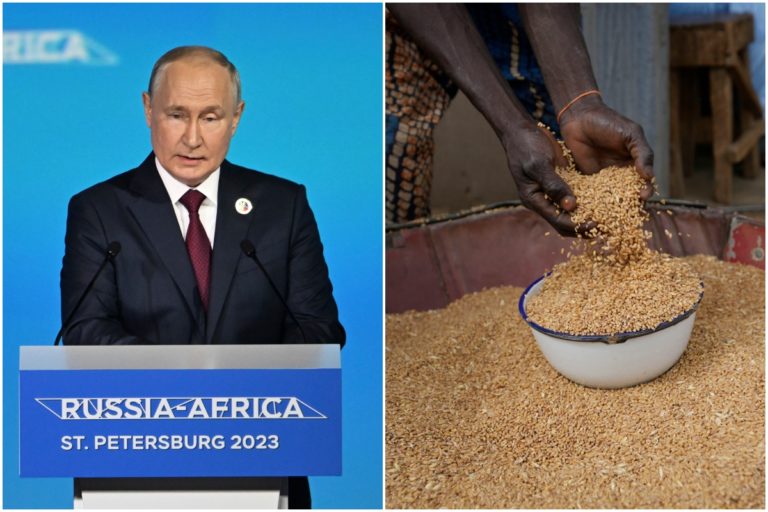 Putin, obilie
