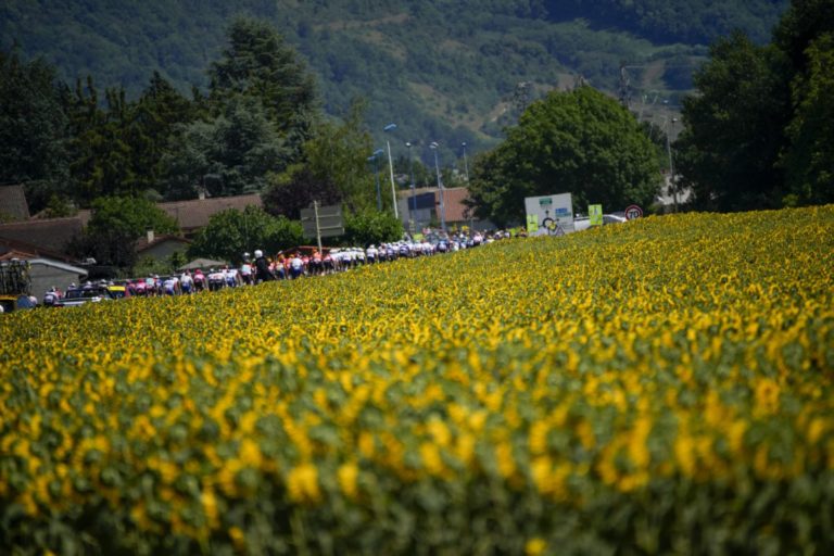 Tour de France 2023, 14. etapa