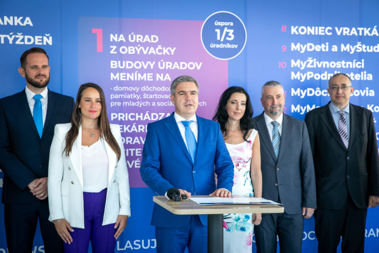 MySlovensko, okrskové komisie, voľby do NR SR