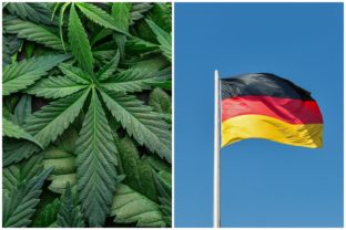 Nemecko, marihuana, tráva