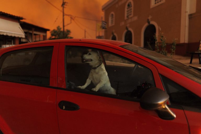 Lesné požiare v Grécku