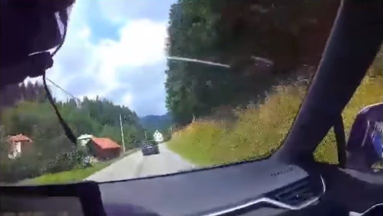 Policajna nahanacka.jpg