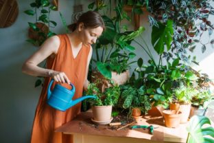 Happy,Woman,Watering,In,Room,Close up,,Carefully,Water,Plants,Using