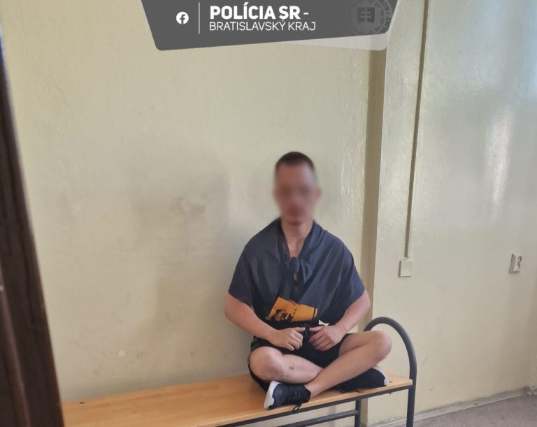 napadnutie vo vlaku