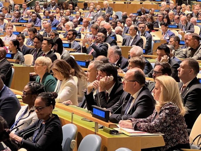 Valné zhromaždenie Organizácie spojených národov