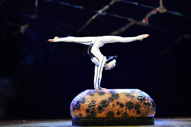 OVO Cirque Du Soleil