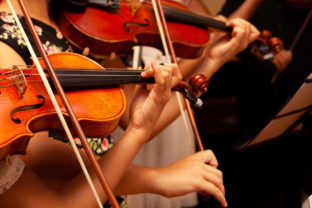 Row, group of anonymous violin players, children, people playing, bows in hands, stands in front, closeup. Classical music concert simple performance kids orchestra string section / quartet performing