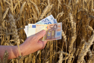 Pšenica, peniaze