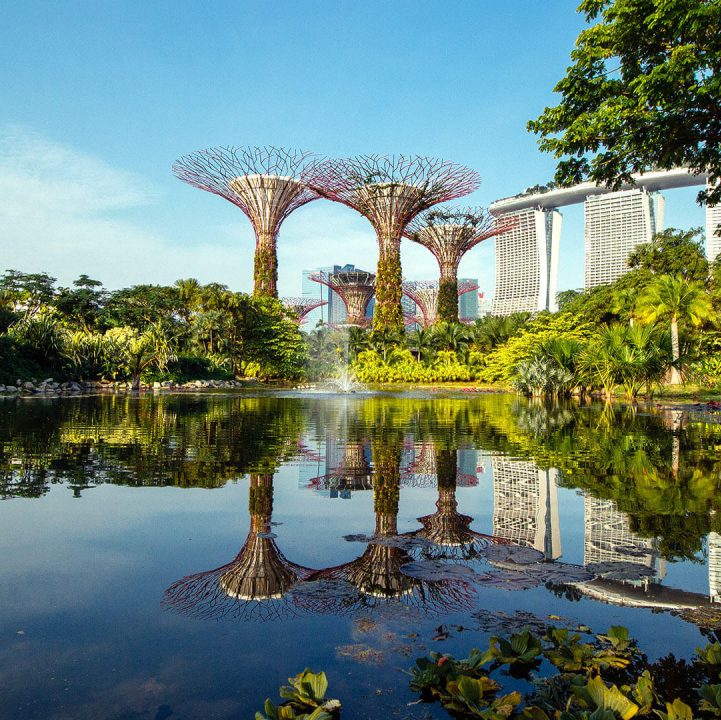Gardens by the bay 