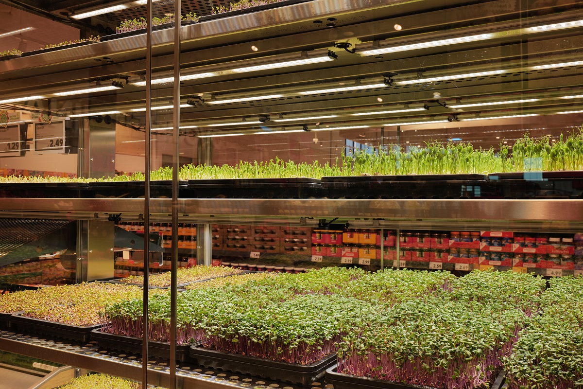 Kaufland 6.jpg