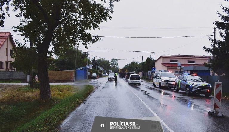 Dopravná nehoda, zrážka chodca