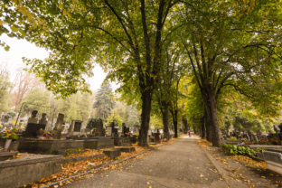 Správa mestskej zelene v Košiciach, Verejný cintorín