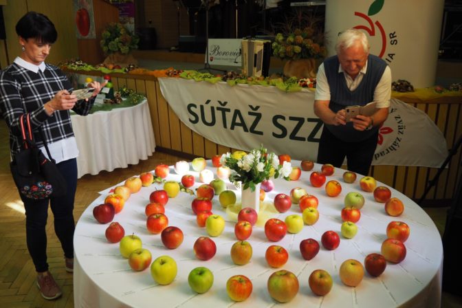 MODRA: Jablko roka 2023