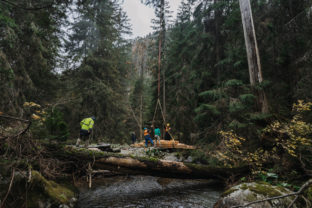 Západné Tatry, Jalovecká dolina, obnova mostíkov