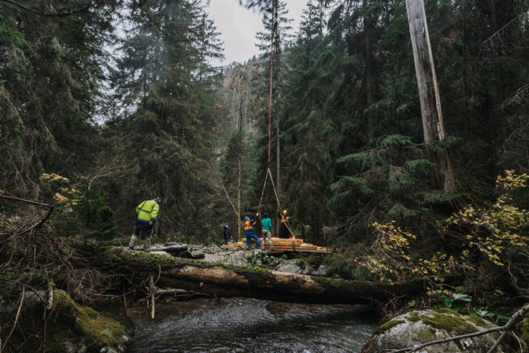 Západné Tatry, Jalovecká dolina, obnova mostíkov
