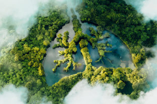A conceptual image showing a lung shaped lake in a lush and pristine jungle. 3d rendering.