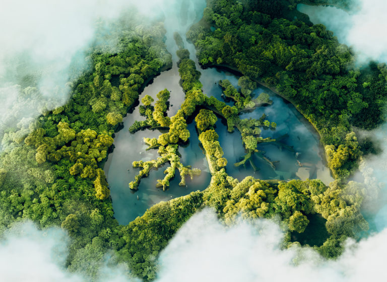 A conceptual image showing a lung shaped lake in a lush and pristine jungle. 3d rendering.