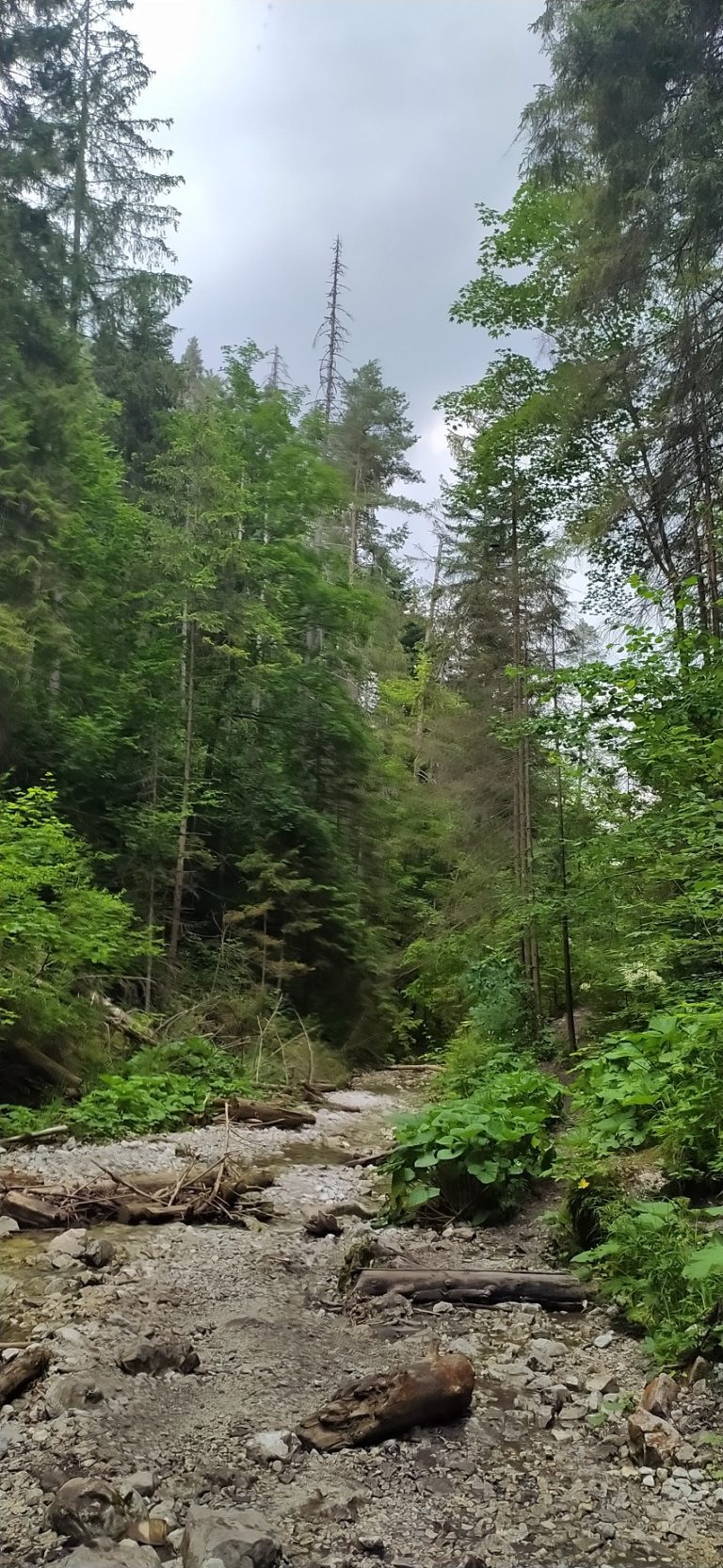 Slovenský raj - čarovné rokliny