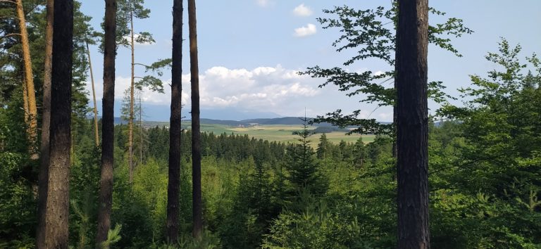 Slovenský raj: Čarovné rokliny a zákutia, ktoré obdivuje svet (foto)