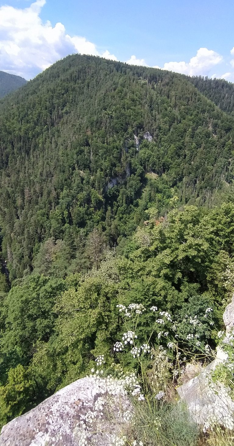 Slovenský raj: Čarovné rokliny a zákutia, ktoré obdivuje svet (foto)
