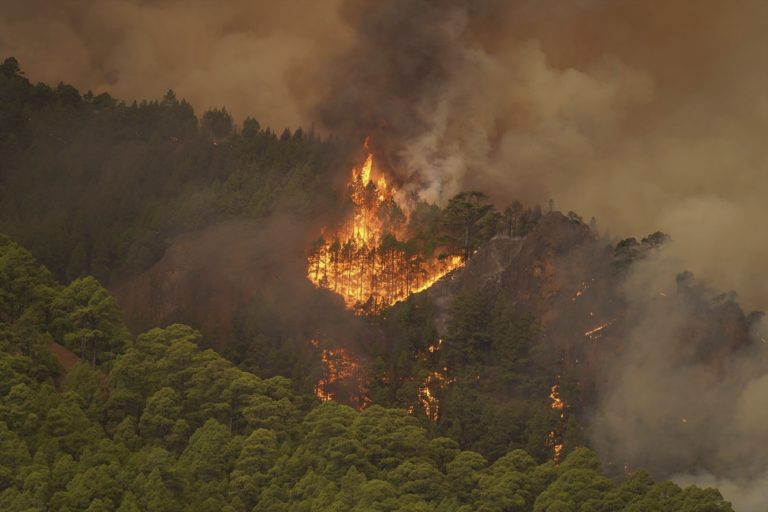 Spain Tenerife Wildfires