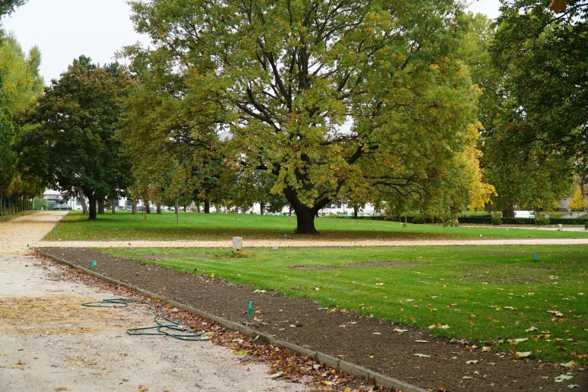 Grassalkovičova záhrada