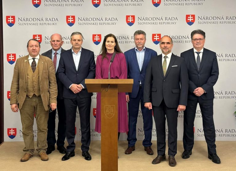 KDH, Martina Holečková