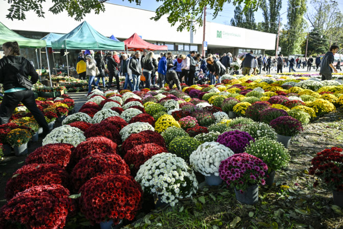 BRATISLAVA: Sviatok všetkých svätých