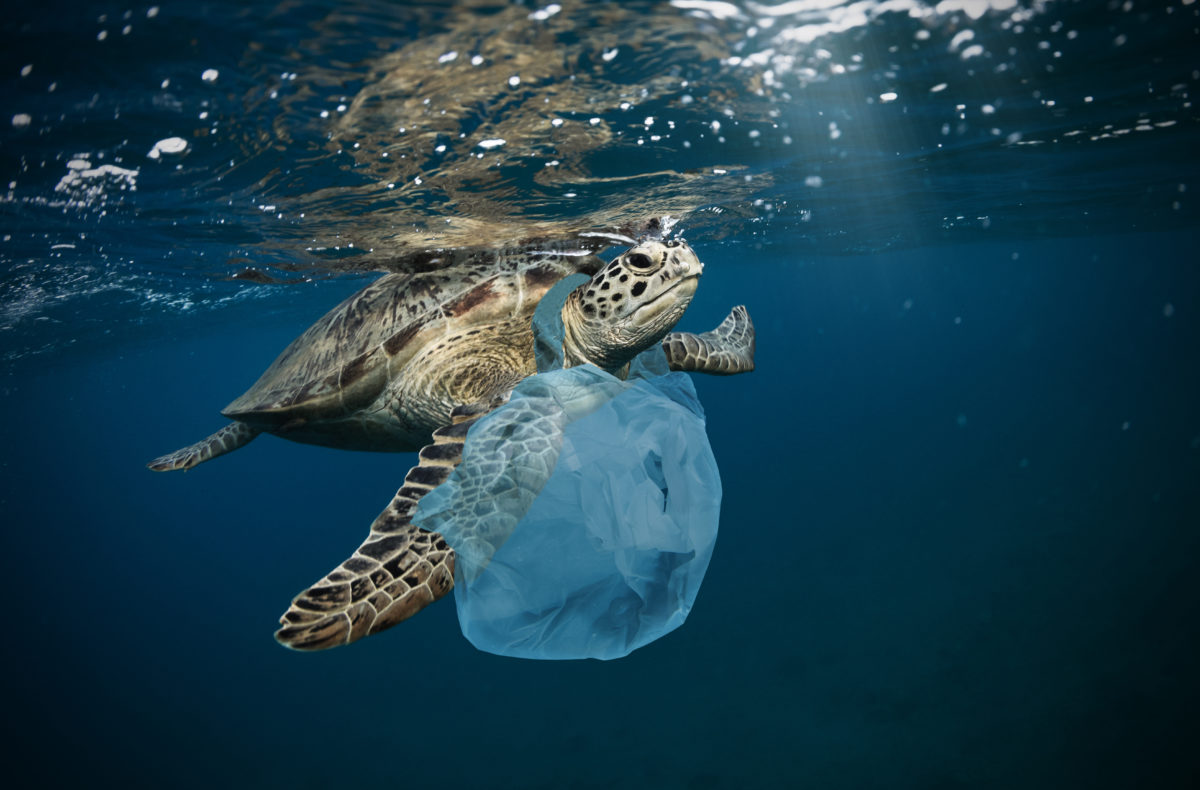 Underwater global problem with plastic rubbish