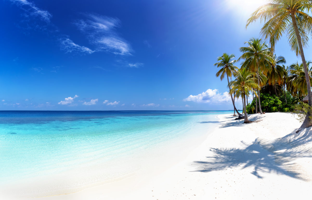 Tropical paradise beach