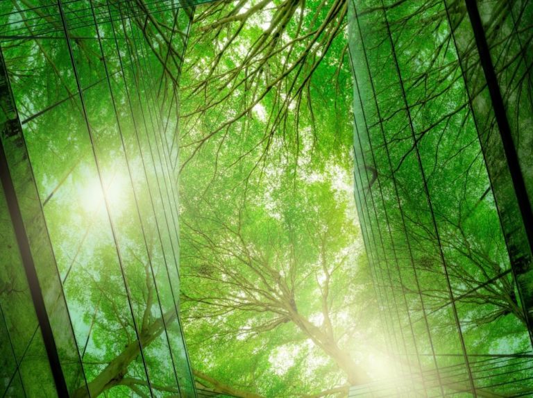 Schneider electric finalizes acquisition of ecoact.jpg