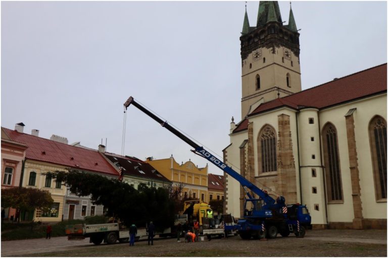 Prešov, vianočný stromček