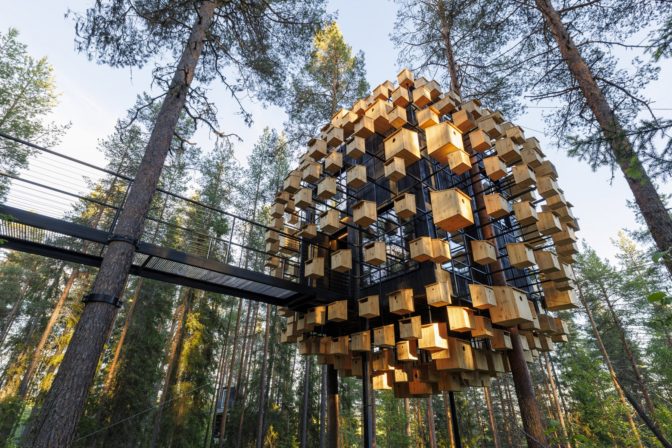 Unikátny hotel na strome: Domov pre vás aj 350 vtáčích rodín