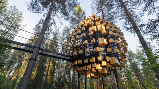 Unikátny hotel na strome: Domov pre vás aj 350 vtáčích rodín