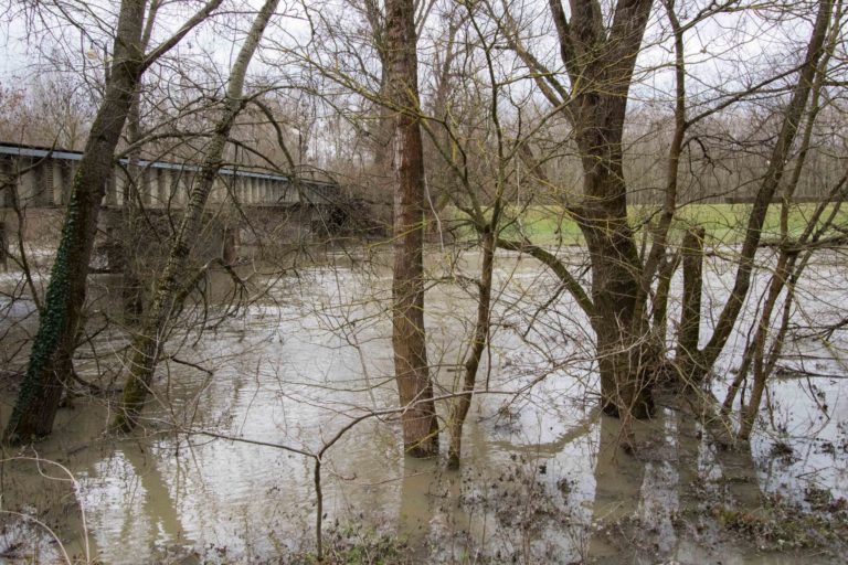 BRATISLAVA: Zvýšená hladina Dunaja