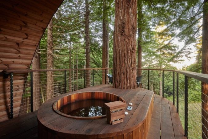 Unikátny dom s vírivkou na strome v tvare listu môže byť udržateľnou budúcnosťou